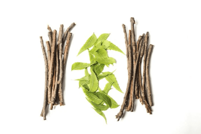 naturopathy treatment in kerala,kerala naturopathy,naturopathy in kerala,best naturopathy centres in kerala,naturopathy kerala,best naturopathy centre in kerala,naturopathy centre in kerala,kerala naturopathy center,naturopathy centres in kerala,naturopathy centre kerala,naturopathy treatment centres in kerala,best naturopathy treatment in kerala,kerala naturopathy centre,kerala naturopathy,best naturopathy centre in kerala,naturopathy centre in kerala,naturopathy in kerala india,best naturopathy centres in kerala,naturopathy center in kerala