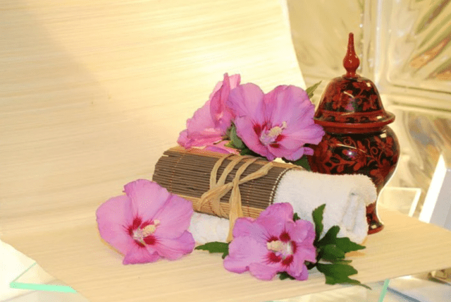 naturopathy kerala,naturopathy treatment in kerala,best naturopathy treatment in kerala,best naturopathy centre in kerala,best naturopathy treatment centres in kerala,kerala naturopathy,naturopathy resorts in kerala,naturopathy in kerala india,kerala naturopathy,best naturopathy treatment in kerala,naturopathy centres in kerala,naturopathy kerala,kerala naturopathy center,naturopathy treatments in kerala,naturopathy treatment centres in kerala,kerala naturopathy treatment,naturopathy treatment centres in kerala,best naturopathy centre in kerala,kerala naturopathy centre