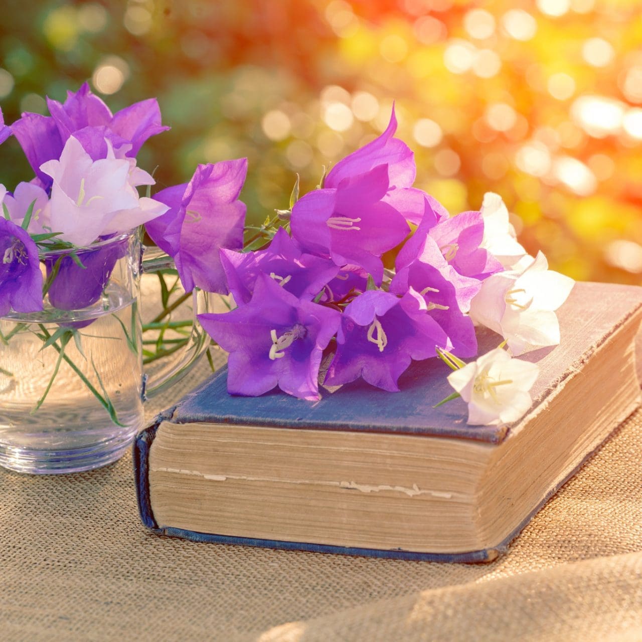 Weekend Wellness Packages